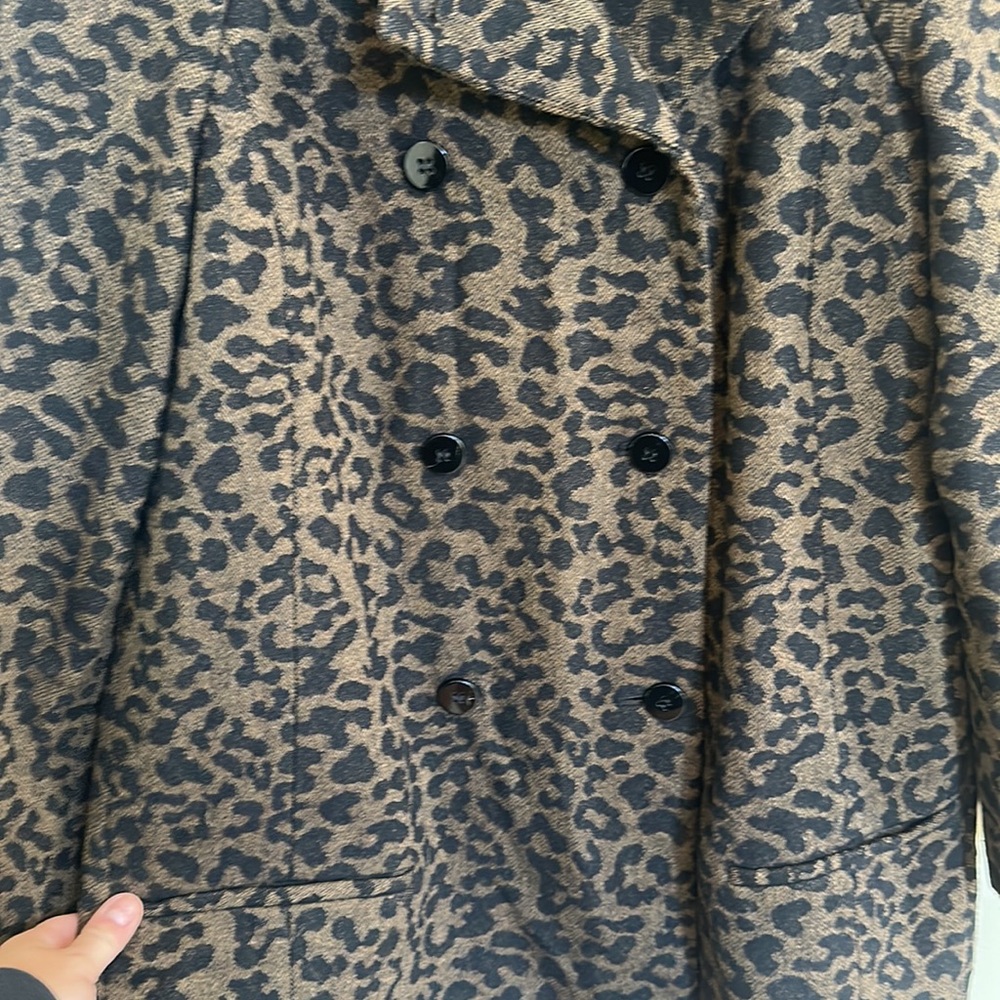 Zara - Picture 4 of 8